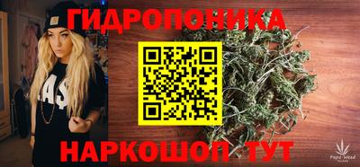 jwh Свободный