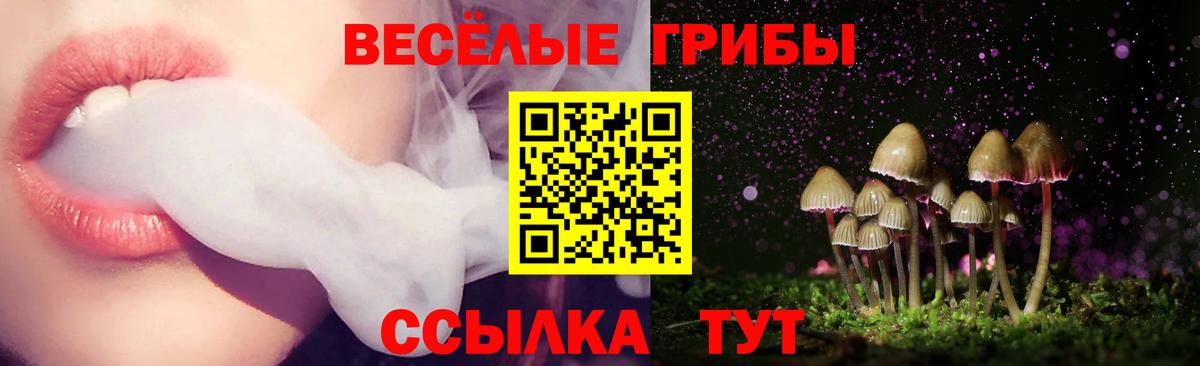 Галлюциногенные грибы Psilocybine cubensis  Галлюциногенные грибы GOLDEN TEACHER  Саянск  Вход с VPN 